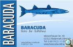 Bitte hier klicken um das Bild 'Baracuda.jpg' in einer größeren Darstellung zu öffnen...